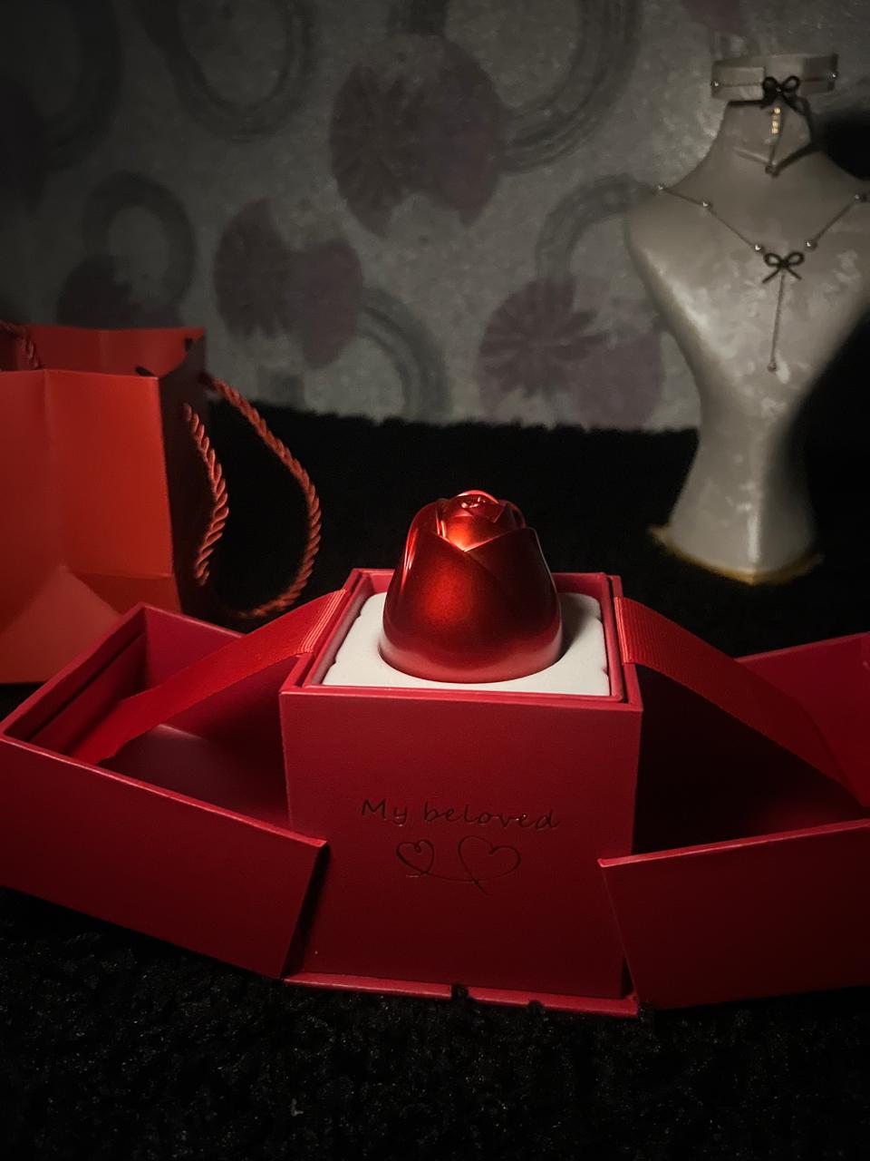 WhatsApp Image 2025-12-29 at 6.00.59 PM